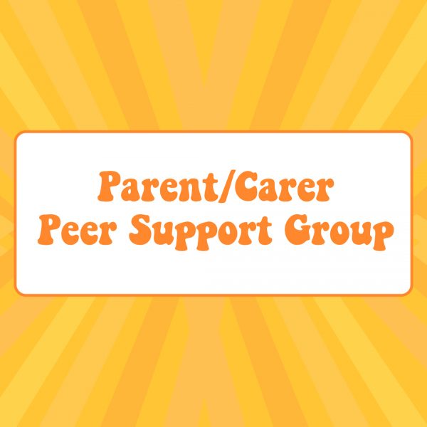 Peer Support Groups untuk Anak Homeschooling: Temukan Teman dan Berkembang Bersama