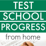 Standardized Testing untuk Anak Homeschooling: Persiapan dan Tips Sukses