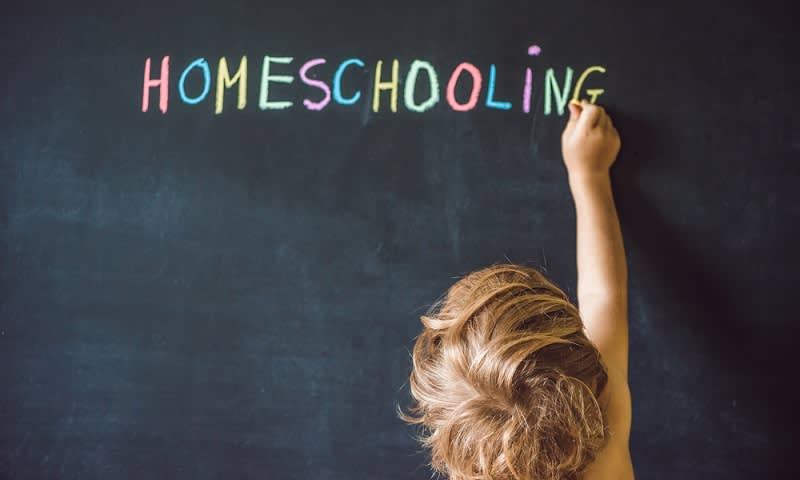 Homeschooling Tidak Menyenangkan? Tips Membuat Pendidikan di Rumah Menjadi Menarik!